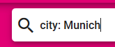 example for the filter: 'city: munich'